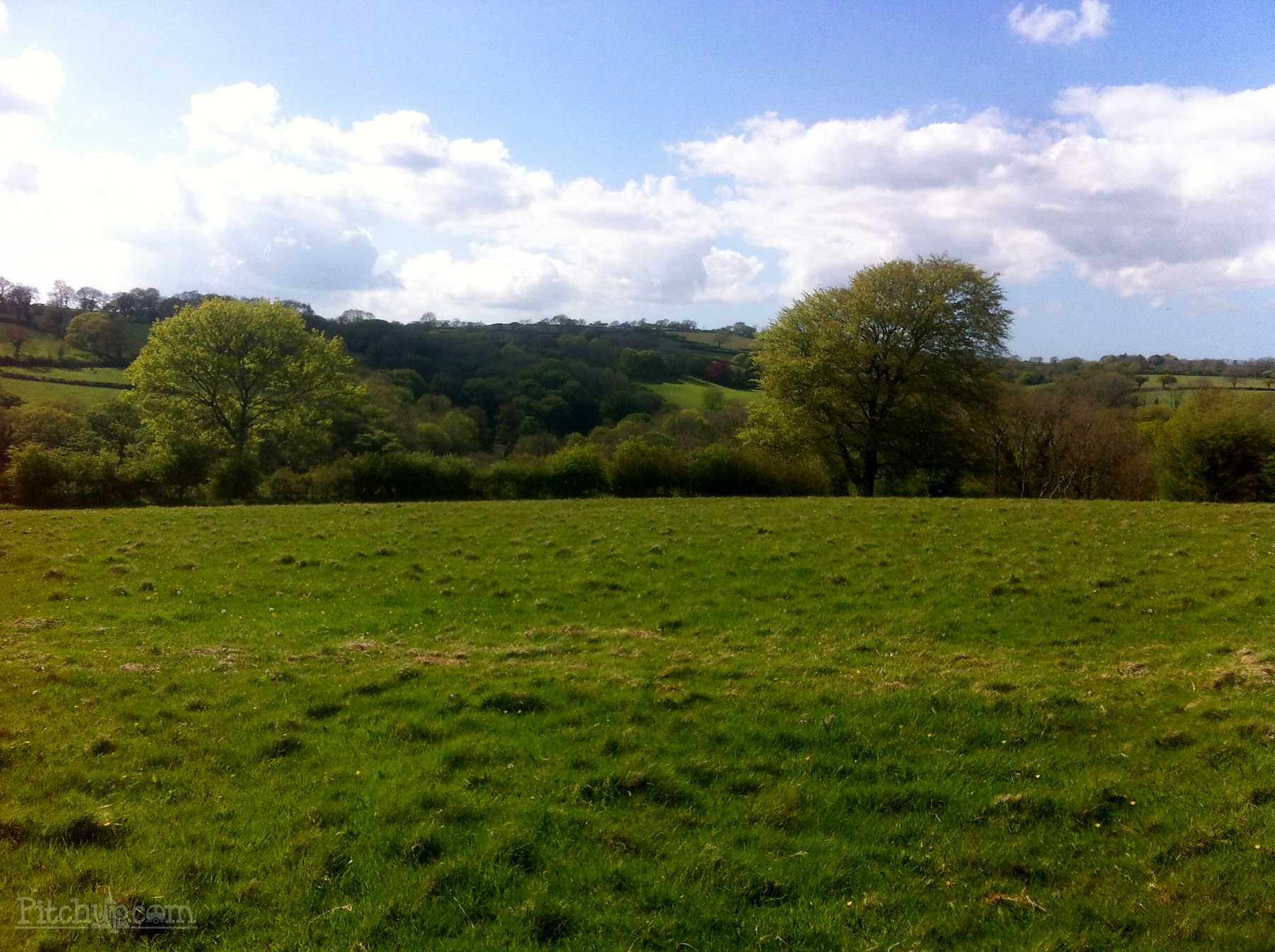 Bybrook Hideaway - Carmarthenshire Camping & Glamping - Camping Field 4